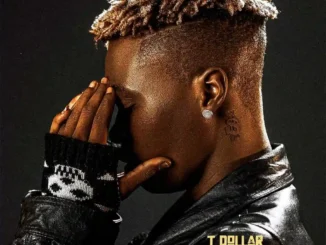 T Dollar – No Stress EP