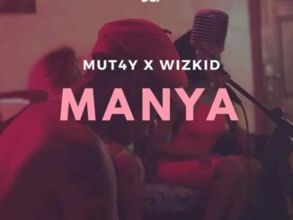 Wizkid – Manya ft. Mut4y