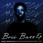 M00tion – Disco Flute